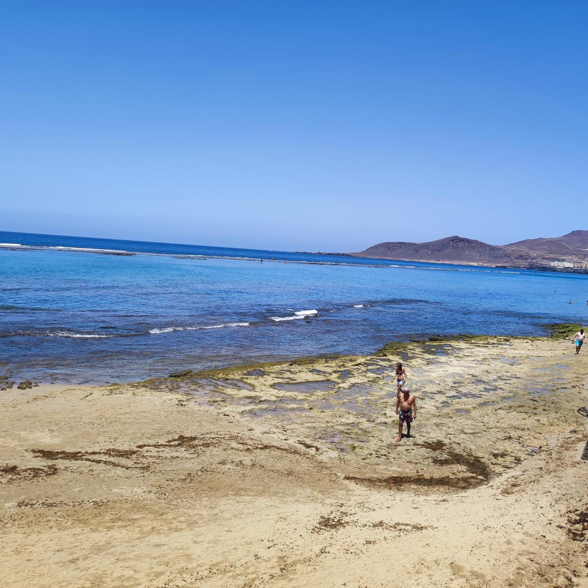 Mirlo Canteras Las Palmas / Gran Canaria Exterior foto